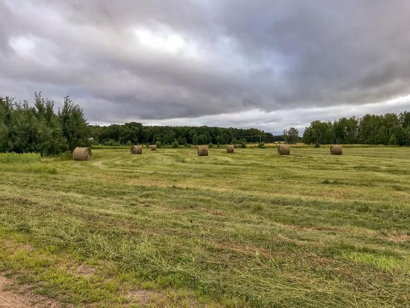 Lot 2 Pin Cherry Ct, Brainerd, MN 56401