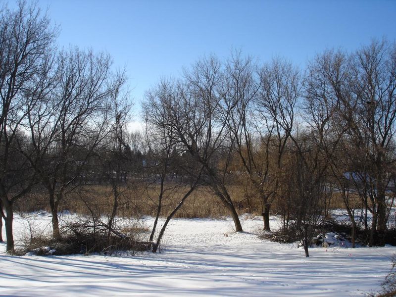 5185 108th St SE, Delano, MN 55328