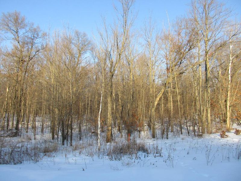 00 26, Chetek, WI 54728
