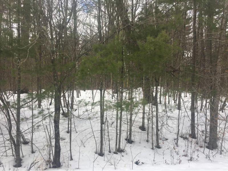 0000 Peggy Ln, Pine City, MN 55063