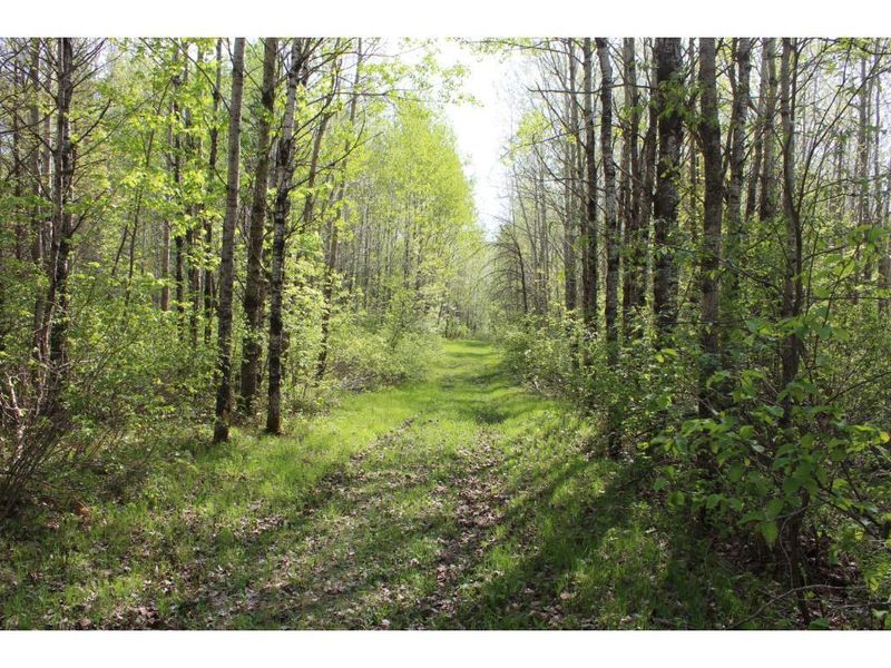 00 East Mail Rd, Minong, WI 54859