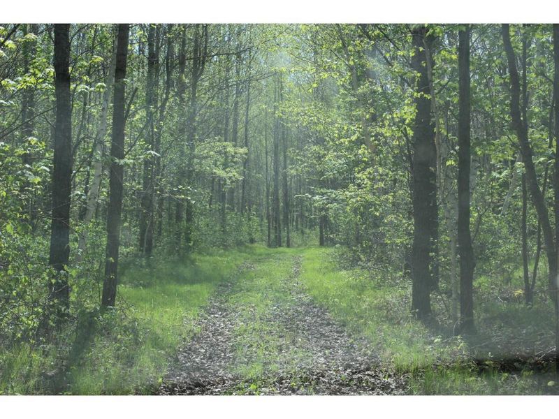 00 East Mail Rd, Minong, WI 54859