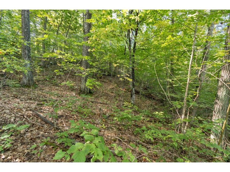Tract D Cooley Dr, Garrison, MN 56450