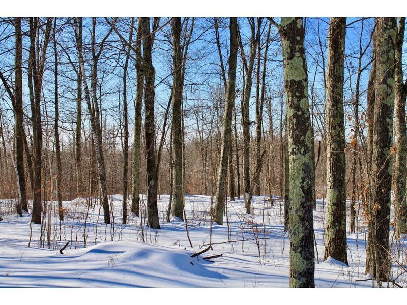 60958 Rutabaga Rd, Sandstone, MN 55072