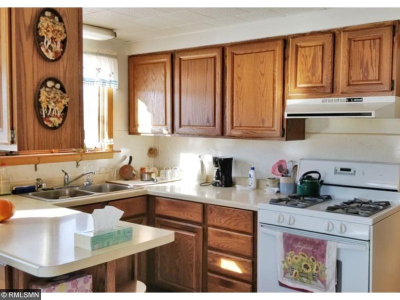 41532 Chase Lake Rd, Deer River, MN 56636