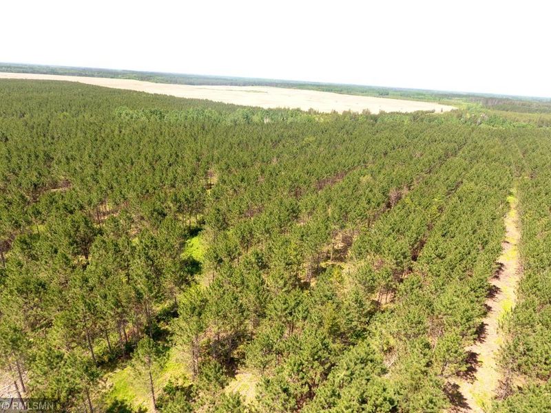 38538 259th Ave, Menahga, MN 56464