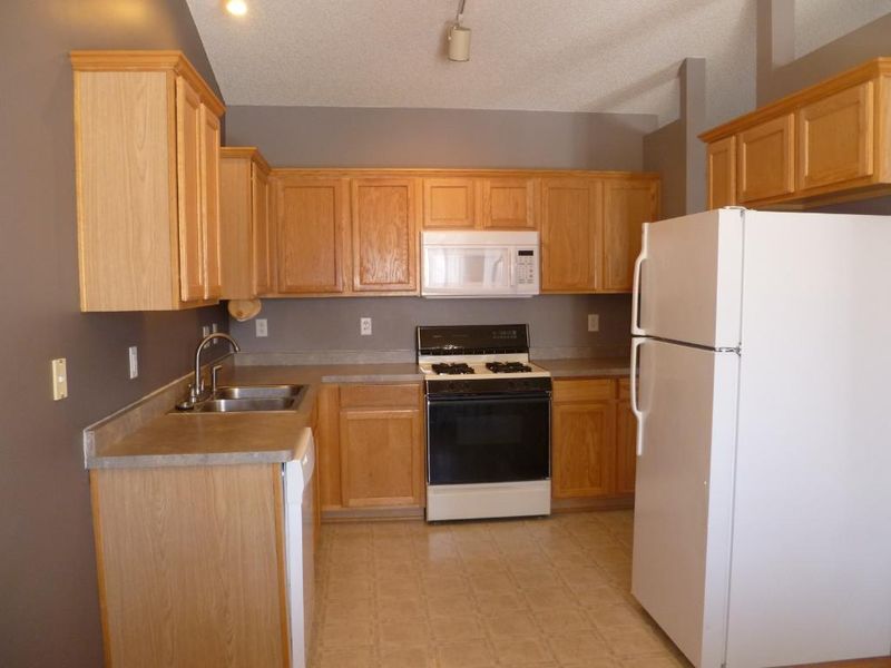 1249 Willow Trl, Farmington, MN 55024