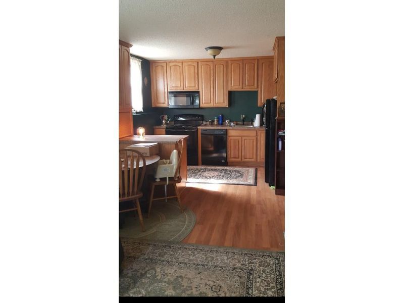 1424 Tyler St, Hastings, MN 55033