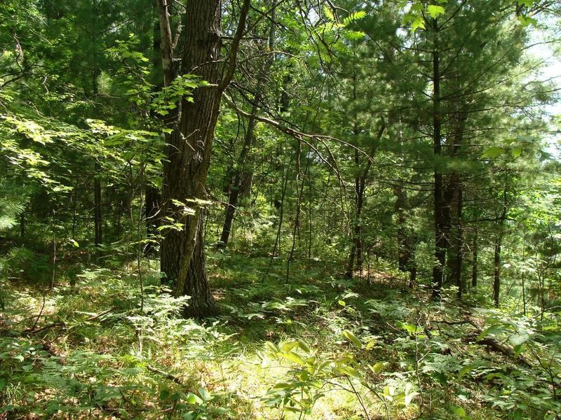 00000 Pike Bend Rd, Webster, WI 54893