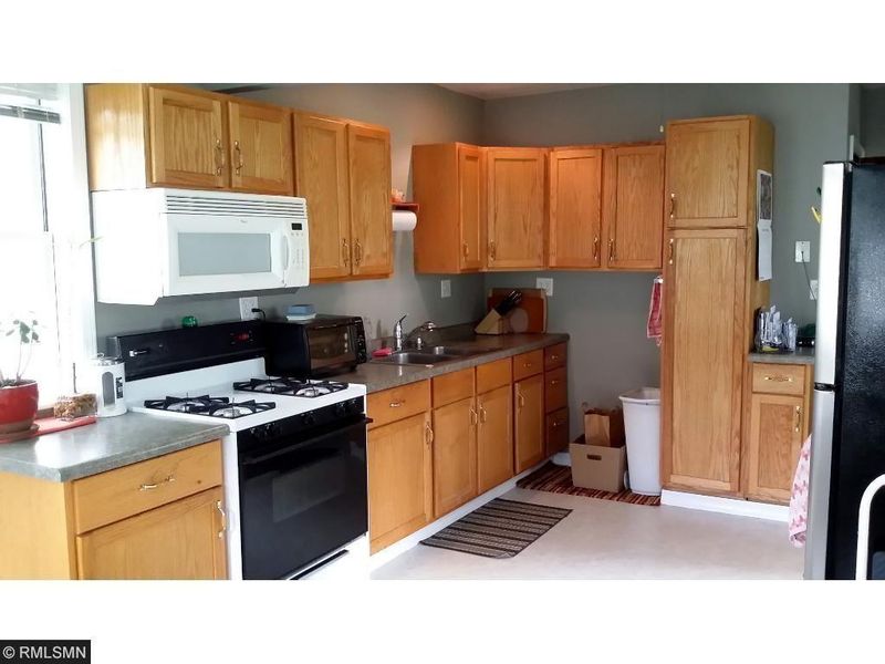 1309 Matilda St, Saint Paul, MN 55117