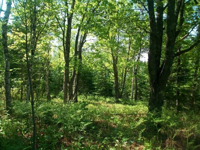 8 Comstock Bay Rd, Cotton, MN 55724