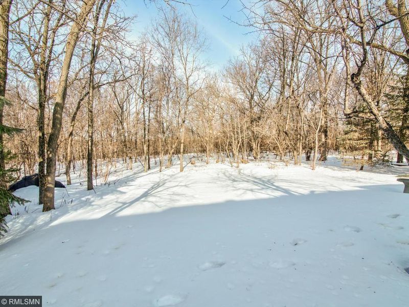 14158 Uplander St NW, Andover, MN 55304
