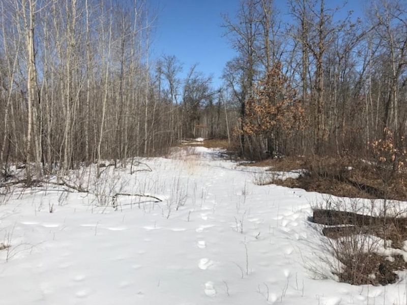 XXX County Road 103, Crosslake, MN 56442