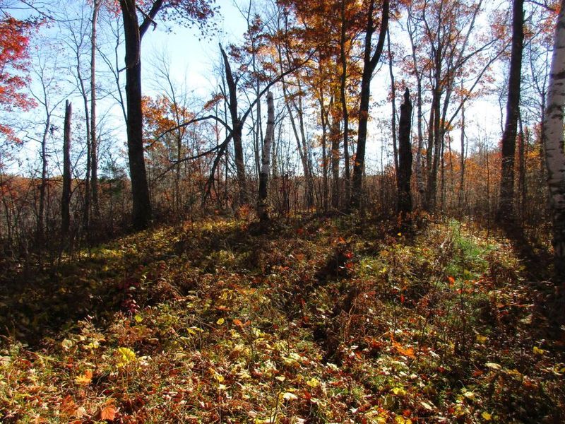000 Beach Ln, Weyerhaeuser, WI 54895