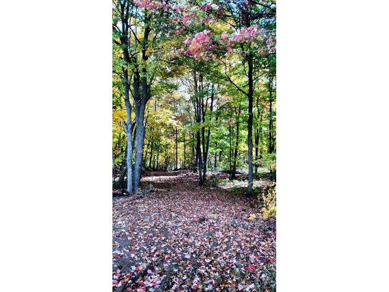 2048 W Chub Lake Rd, Carlton, MN 55718