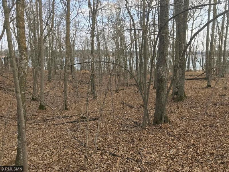tbd Lantern Ln, Longville, MN 56655