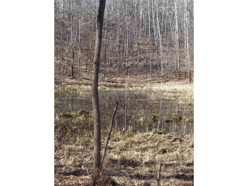 TBD County 91, Nevis, MN 56467