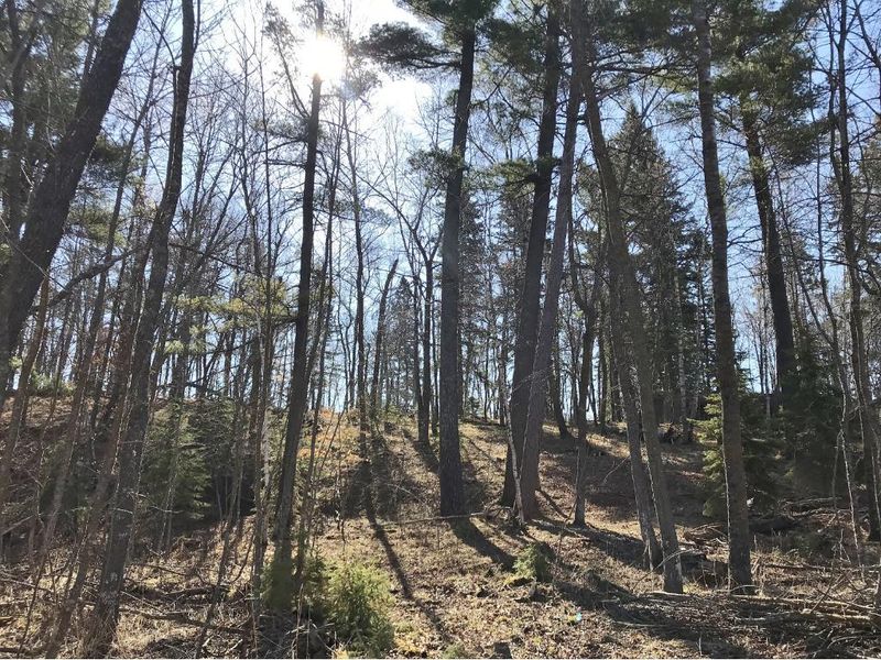 TBD County 89, Park Rapids, MN 56470