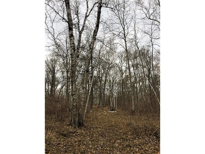 xxx Daggett Pine Rd, Crosslake, MN 56442