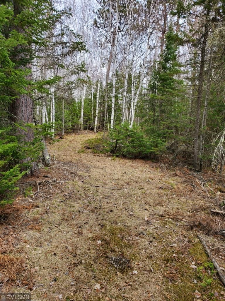 XX Augusta Lake Rd, Eveleth, MN 55734