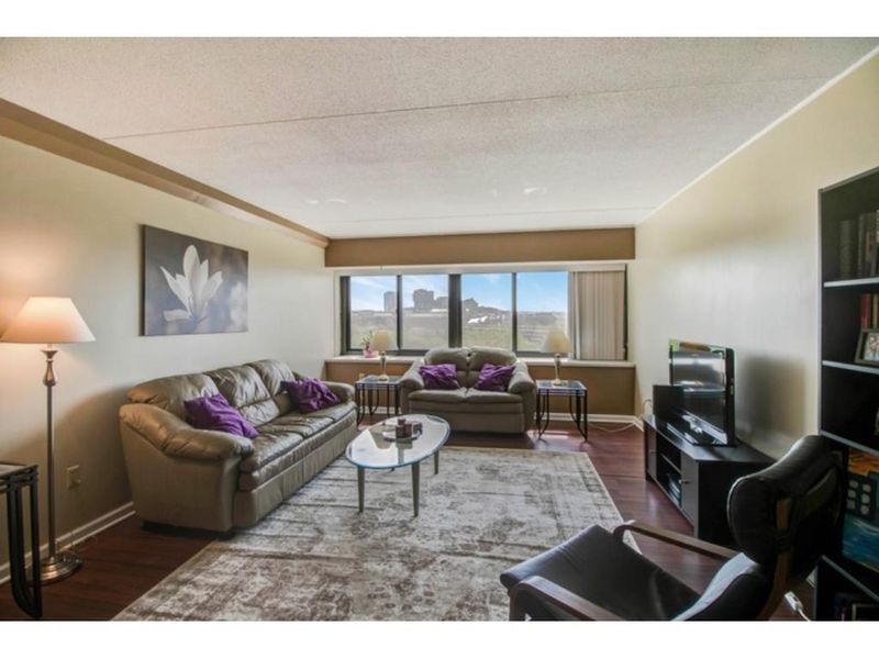 1920 S 1st St #706, Minneapolis, MN 55454