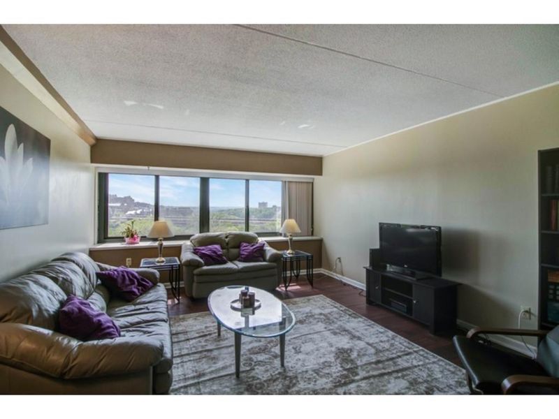 1920 S 1st St #706, Minneapolis, MN 55454