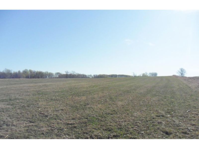 xxxx 213th St, Pierz, MN 56364
