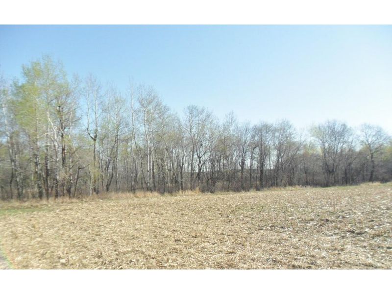 xxxx 213th St, Pierz, MN 56364