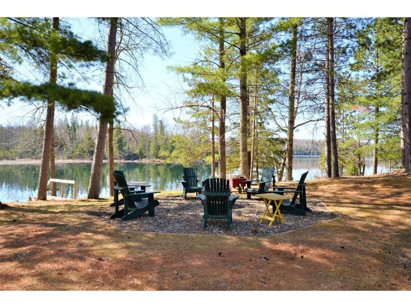 41579 Turtle Lake Rd, Bigfork, MN 56628