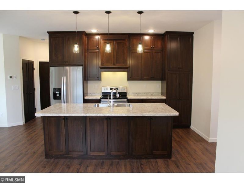 1105 Summit Cv, Dassel, MN 55325