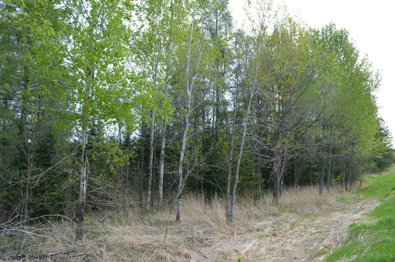 SENW 384th St, Menahga, MN 56464