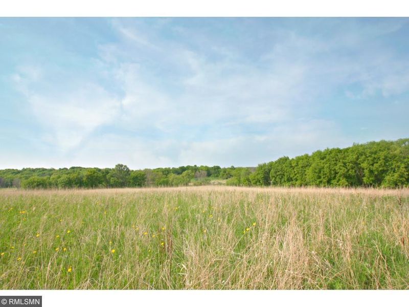 6351 County Rd 11, Independence, MN 55359