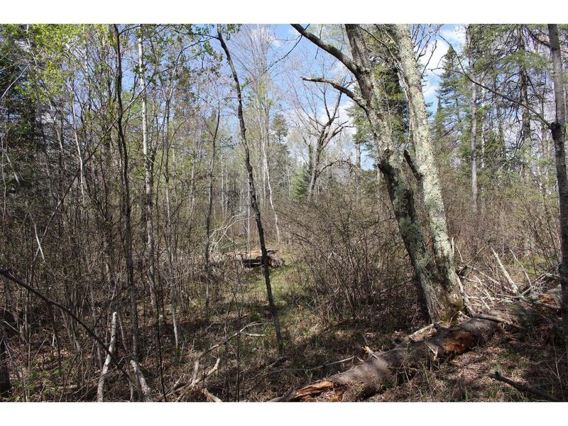 NA 135th Pl, Sturgeon Lake, MN 55783