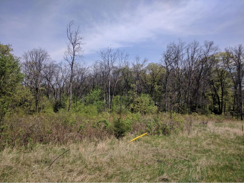 Lot 1 Blk 2 190th St NW, Big Lake, MN 55309