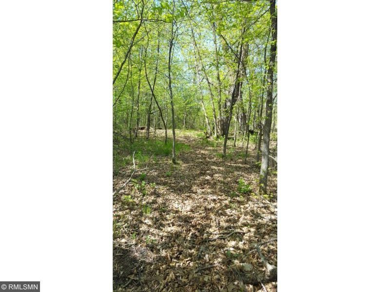 XXXX 184th, Barrett, MN 56311