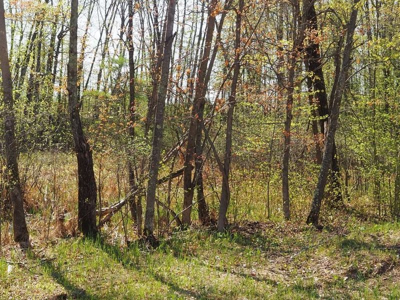 Lot 2 E Connors Lake Rd, Webster, WI 54893