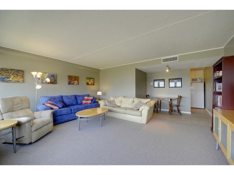 1920 S 1st St #701, Minneapolis, MN 55454