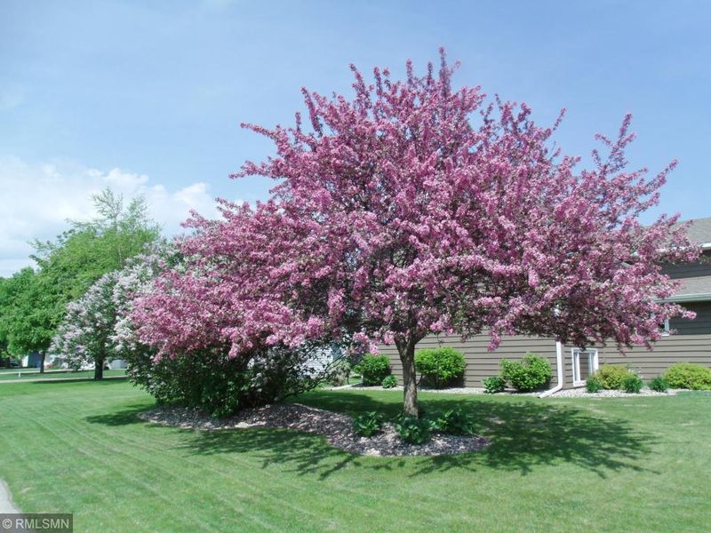 505 1st St E, Glencoe, MN 55336