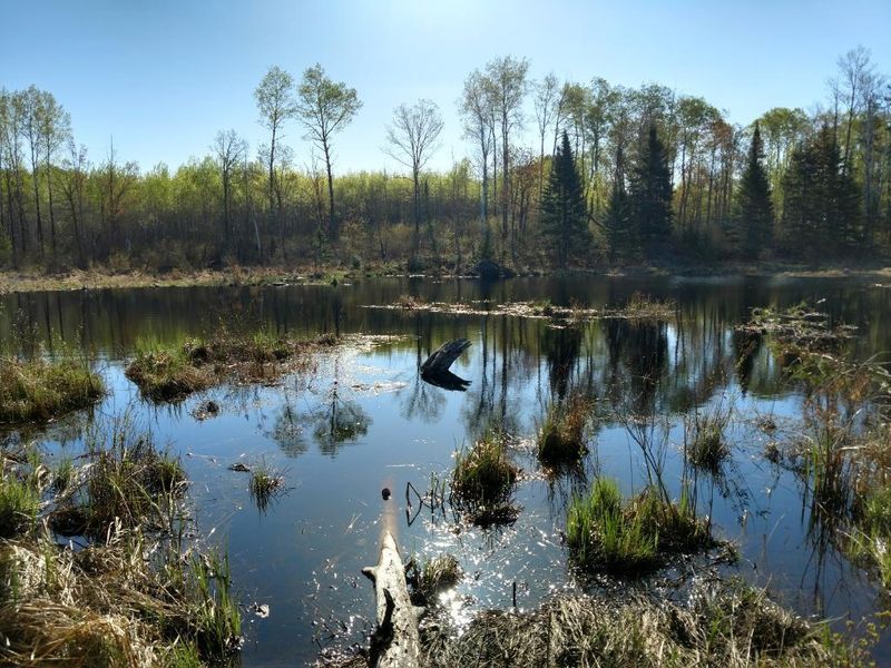 XXX Birch Rd, Moose Lake, MN 55767