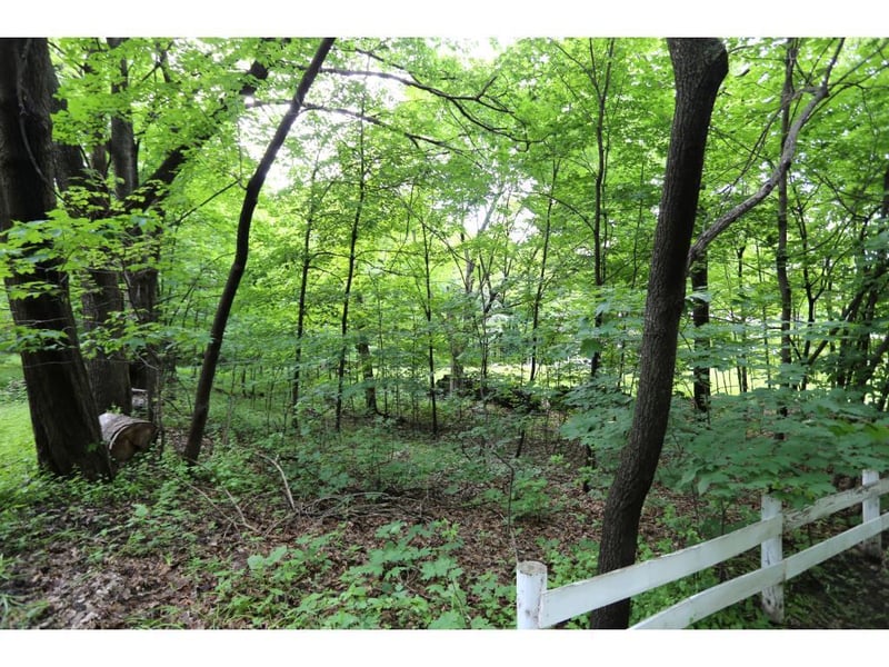 6250 Murray Hill Rd, Excelsior, MN 55331