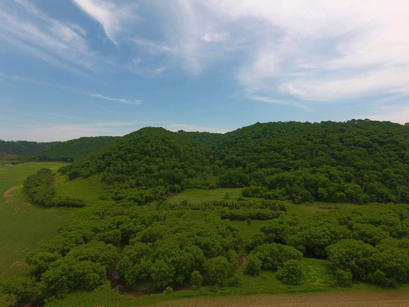 12567 County 4, Houston, MN 55943