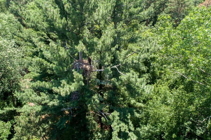 6 Sunfish Ln, Sunfish Lake, MN 55118