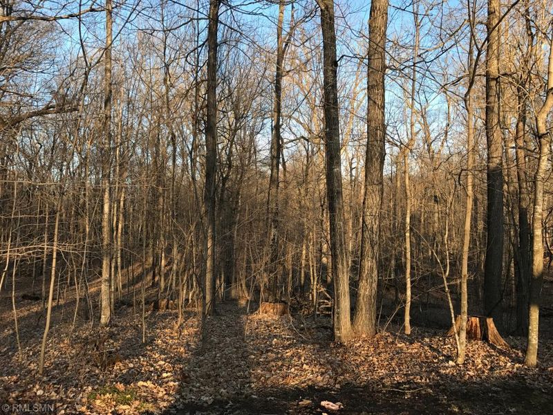 1718 E Forest Cir, Balsam Lake, WI 54810