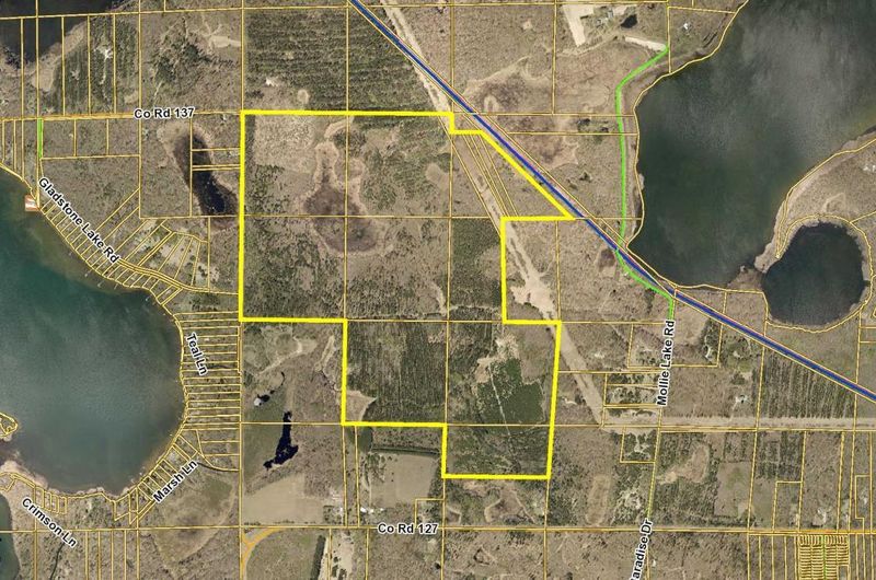 TBD Co Rd 137, Nisswa, MN 56468