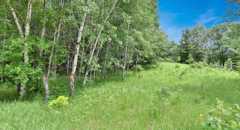 TBD Overshot Ct, Browerville, MN 56438