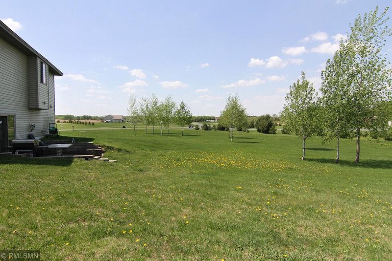29193 Snow Goose Trl, Shafer, MN 55074