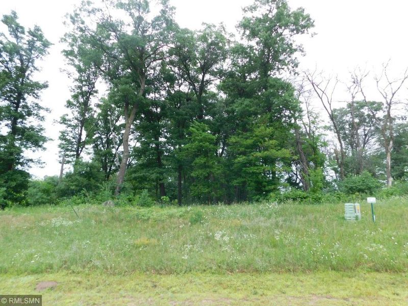 XXXX 288th Ave, Zimmerman, MN 55398