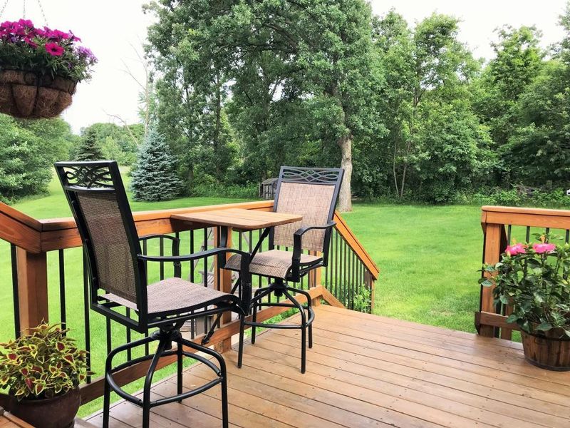 20160 Jackson St NE, Cedar, MN 55011