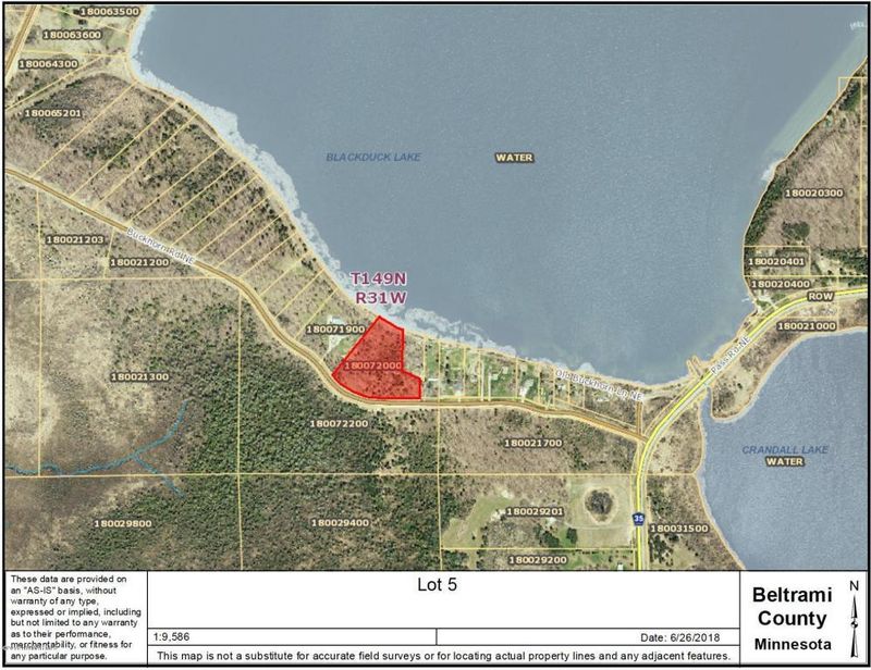 Lot 5 NE Buckhorn Rd, Hines, MN 56647