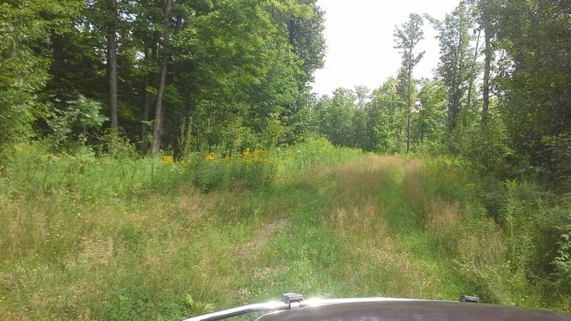 0 School Rd, Dairyland, WI 54830
